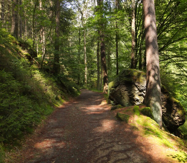 Wanderung entlang der Polenz in der Sächsischen Schweiz