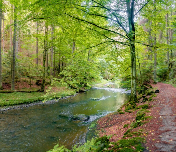 Rad- und Wanderweg entlang der Polenz Sächsische Schweiz