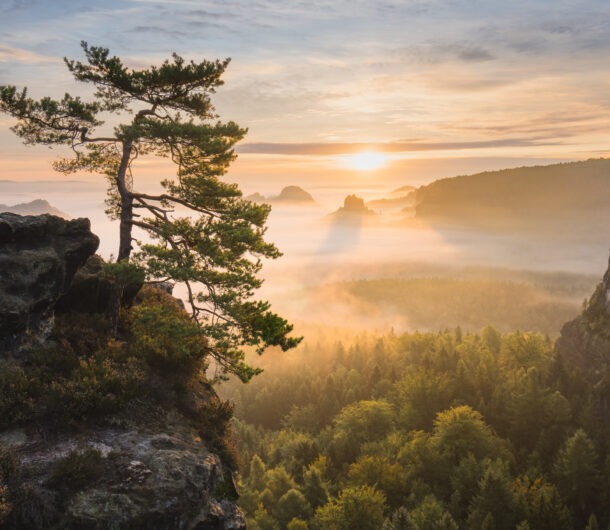 Sonnenaufgang im Elbsandsteingebirge