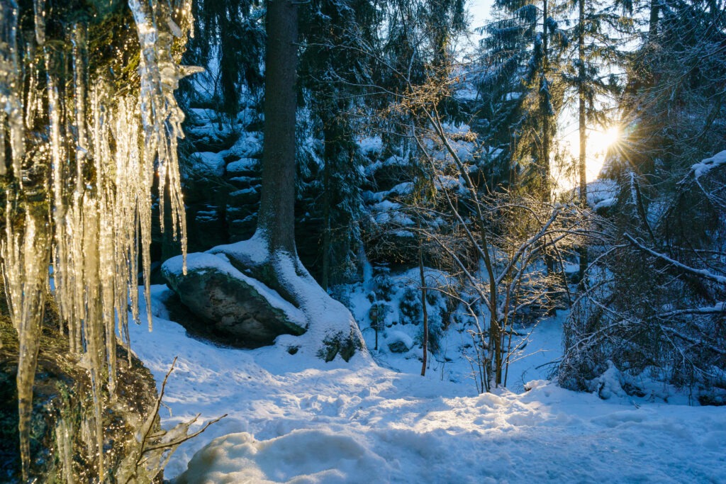 Winterwanderung Goetzinger Hoehe